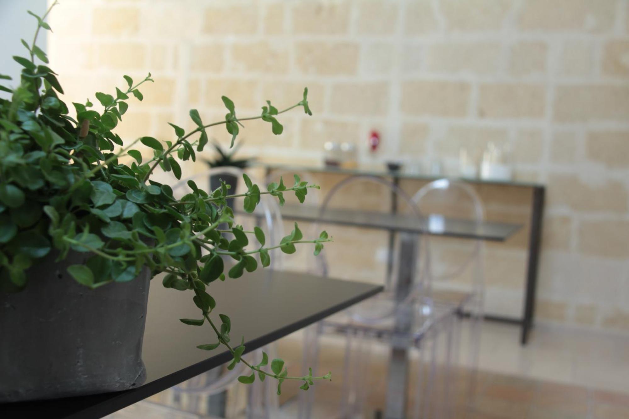 Lamia Room Rentals Matera Exterior foto