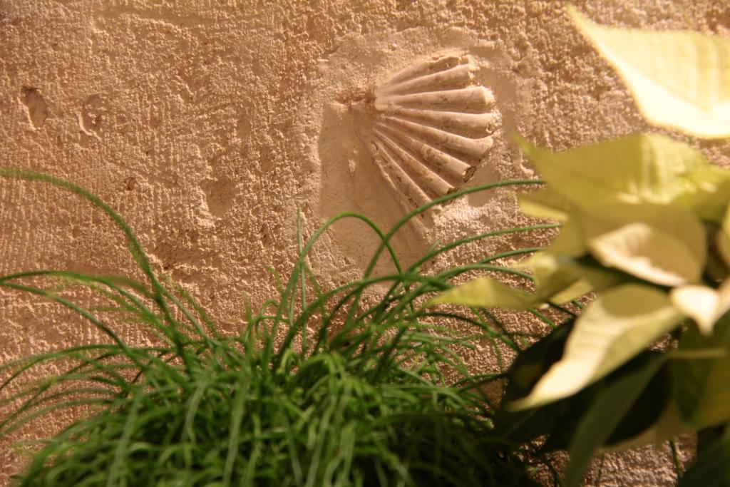 Lamia Room Rentals Matera Exterior foto